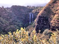 1977042114 Wailua River, Kauai, Hawaii