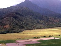 1977042116 Wailua River, Kauai, Hawaii