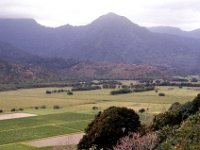 1977042117 Wailua River, Kauai, Hawaii