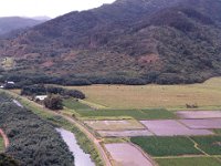 1977042119 Wailua River, Kauai, Hawaii