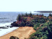 1977042120 Wailua River, Kauai, Hawaii