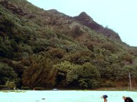 1977042123 Wailua River, Kauai, Hawaii