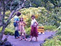 1979061064 Circle Island Tour, Oahu, Hawaii