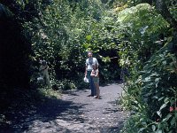 1979061082 Circle Island Tour, Oahu, Hawaii