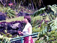 1979061083 Circle Island Tour, Oahu, Hawaii