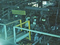 Dole Pineapple Factory, Oahu, Hawaii (June 1979)