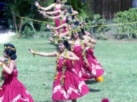 1979061034 Kodak Hula Show, Honolulu, Oahu, Hawaii