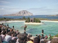 1979061094 Sea Life Park, Oahu, Hawaii