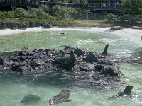 1979061091 Sea Life Park, Oahu, Hawaii