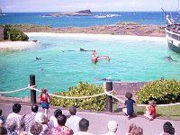 1979061093 Sea Life Park, Oahu, Hawaii