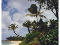 2001 07 e15 Island Tour -Hawaii