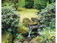 2001 07 e20 Japanese Temple-Island Tour -Hawaii