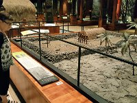 2017061708 Bishop Museum - Honolulu - Hawaii - Jun 06