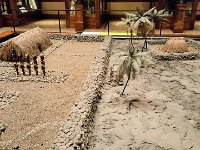 2017061709 Bishop Museum - Honolulu - Hawaii - Jun 06