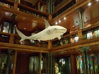 2017061712 Bishop Museum - Honolulu - Hawaii - Jun 06