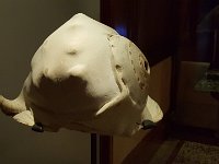 2017061723 Bishop Museum - Honolulu - Hawaii - Jun 06