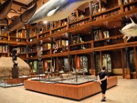 2017061873 Bishop Museum - Honolulu - Hawaii - Jun 06