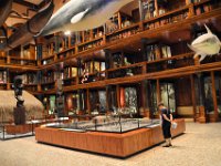 2017061874 Bishop Museum - Honolulu - Hawaii - Jun 06