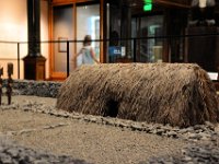 2017061877 Bishop Museum - Honolulu - Hawaii - Jun 06