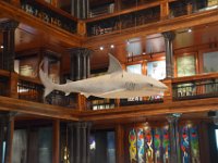 2017061898 Bishop Museum - Honolulu - Hawaii - Jun 06