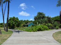 2017061978 Bishop Museum - Honolulu - Hawaii - Jun 06