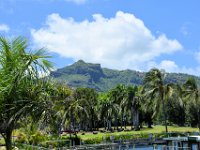 2017062180 Fern Grotto and Wailua River Boat Tour - Jun 07