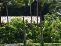 2017062209 Fern Grotto and Wailua River Boat Tour - Jun 07