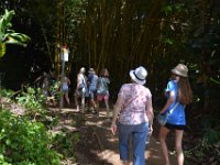 2017062215 Fern Grotto and Wailua River Boat Tour - Jun 07