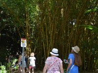 2017062216 Fern Grotto and Wailua River Boat Tour - Jun 07