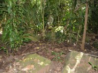 2017062221 Fern Grotto and Wailua River Boat Tour - Jun 07