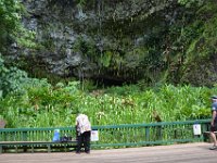 2017062222 Fern Grotto and Wailua River Boat Tour - Jun 07