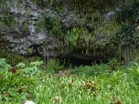 2017062223 Fern Grotto and Wailua River Boat Tour - Jun 07