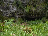 2017062224 Fern Grotto and Wailua River Boat Tour - Jun 07