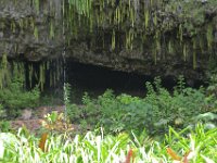 2017062225 Fern Grotto and Wailua River Boat Tour - Jun 07