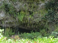 2017062226 Fern Grotto and Wailua River Boat Tour - Jun 07