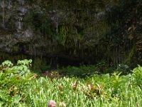 2017062227 Fern Grotto and Wailua River Boat Tour - Jun 07