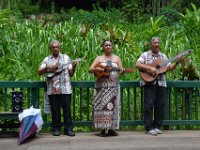 2017062232 Fern Grotto and Wailua River Boat Tour - Jun 07