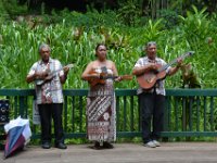 2017062233 Fern Grotto and Wailua River Boat Tour - Jun 07