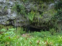 2017062234 Fern Grotto and Wailua River Boat Tour - Jun 07