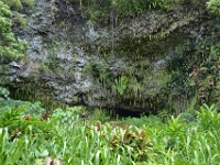 2017062235 Fern Grotto and Wailua River Boat Tour - Jun 07