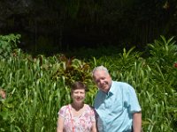 2017062238 Fern Grotto and Wailua River Boat Tour - Jun 07