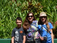 2017062244 Fern Grotto and Wailua River Boat Tour - Jun 07