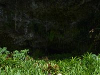 2017062245 Fern Grotto and Wailua River Boat Tour - Jun 07