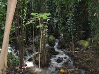 2017062249 Fern Grotto and Wailua River Boat Tour - Jun 07