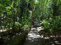 2017062253 Fern Grotto and Wailua River Boat Tour - Jun 07