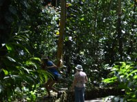 2017062254 Fern Grotto and Wailua River Boat Tour - Jun 07