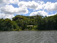 2017062258 Fern Grotto and Wailua River Boat Tour - Jun 07