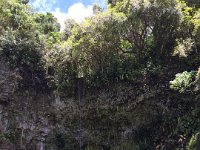 2017062274 Fern Grotto and Wailua River Boat Tour - Jun 07