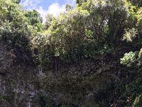 2017062275 Fern Grotto and Wailua River Boat Tour - Jun 07
