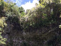 2017062276 Fern Grotto and Wailua River Boat Tour - Jun 07